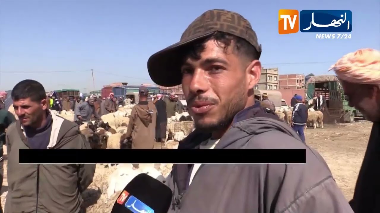 غليزان: مع فتح أسواق المواشي المغلقة   ..انخفاض كبير في أسعار الأضاحي