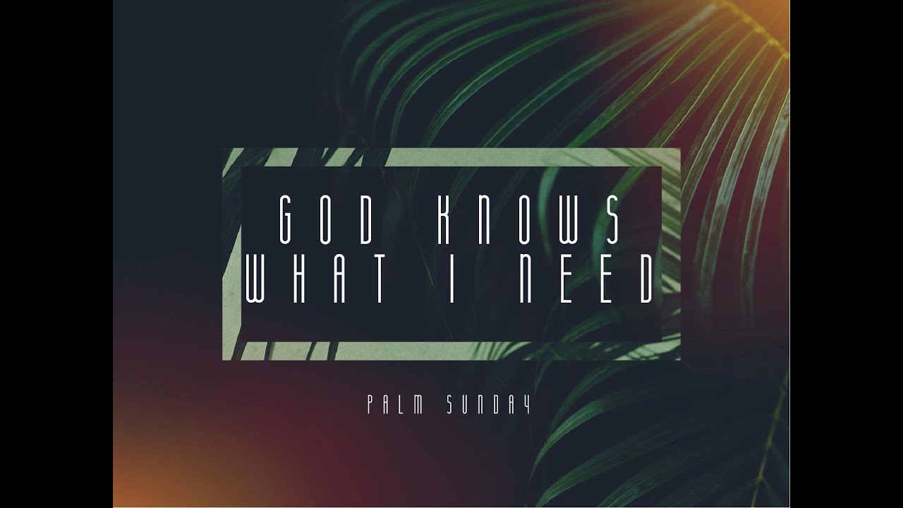 Living Hope Community Church (Palm Sunday Service // April 3.2020)