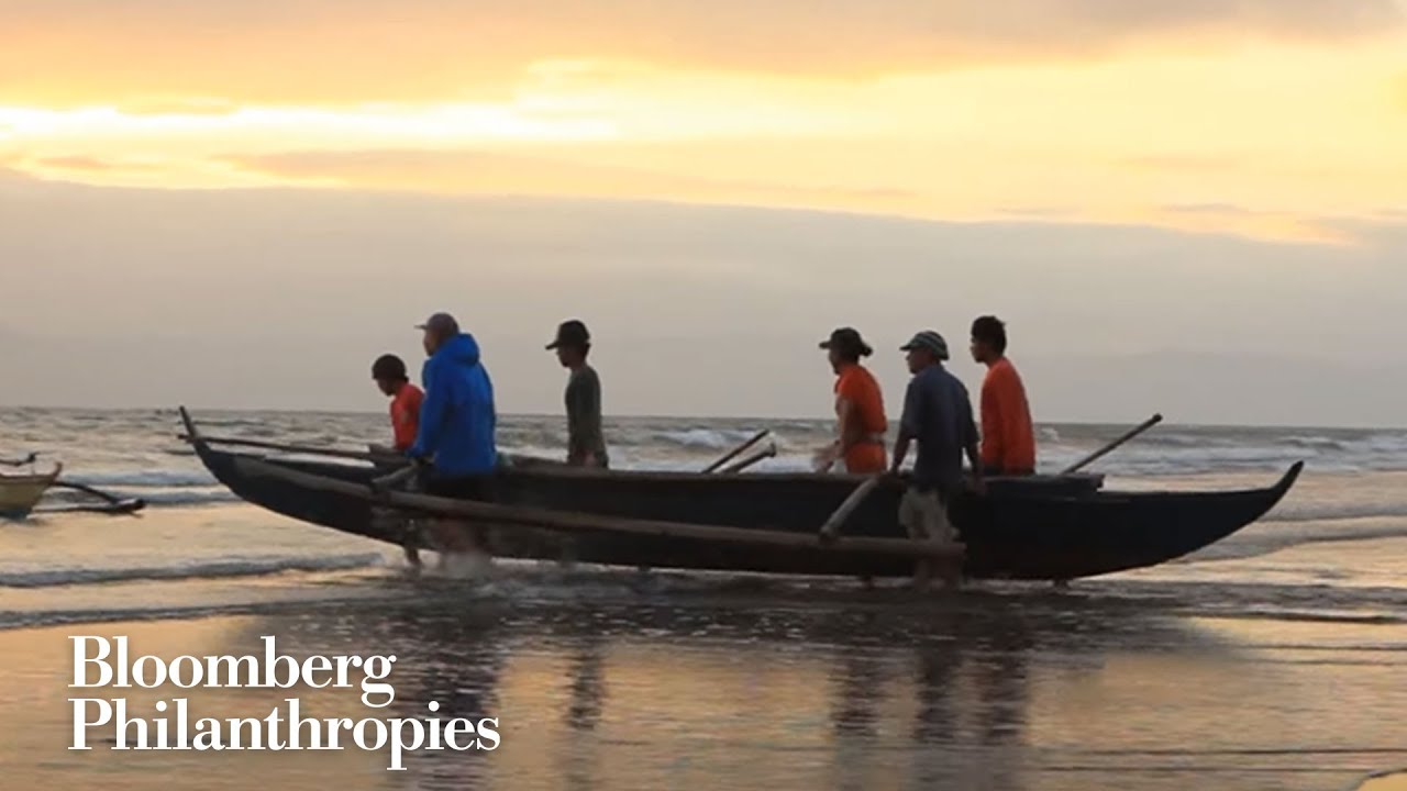 Vibrant Oceans: A partnership to rebuild fish populations | Bloomberg Philanthropies