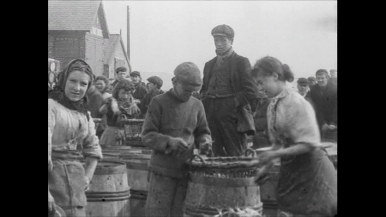 North Sea Fisheries, North Shields (1901)