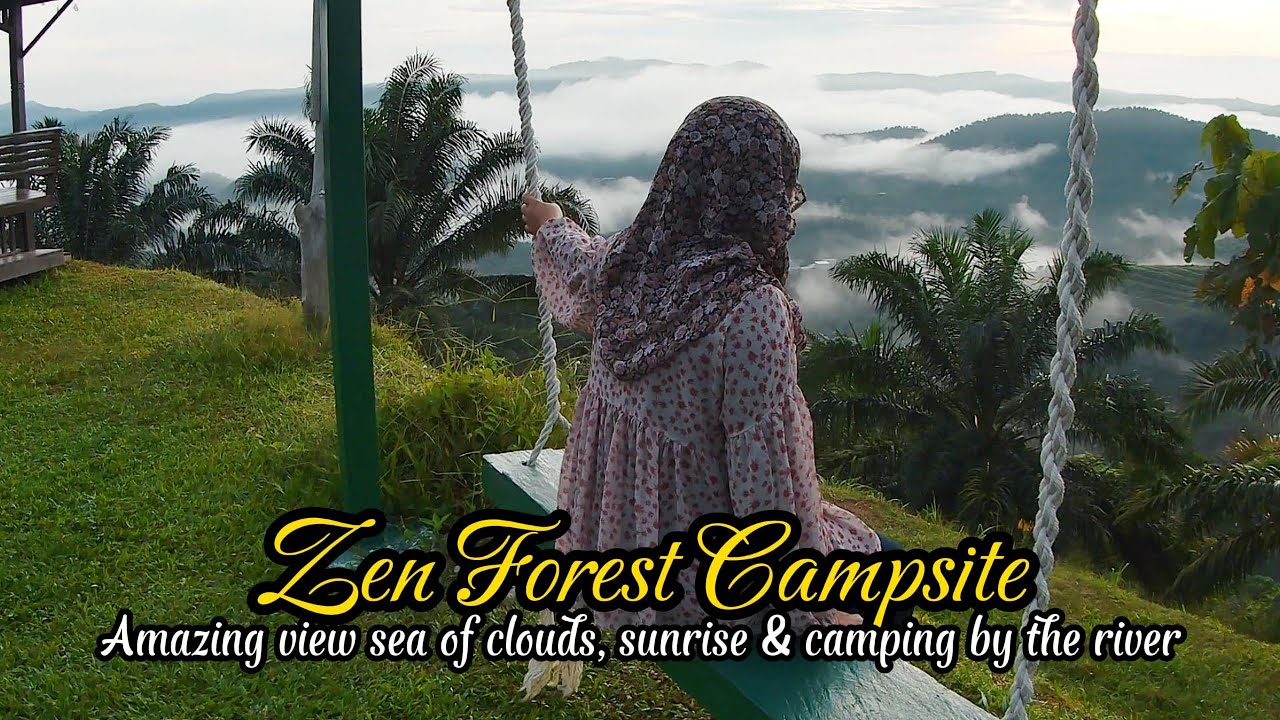 Zen Forest Campsite. An amazing experience that you can't buy. #zenforest #campsite  #camping