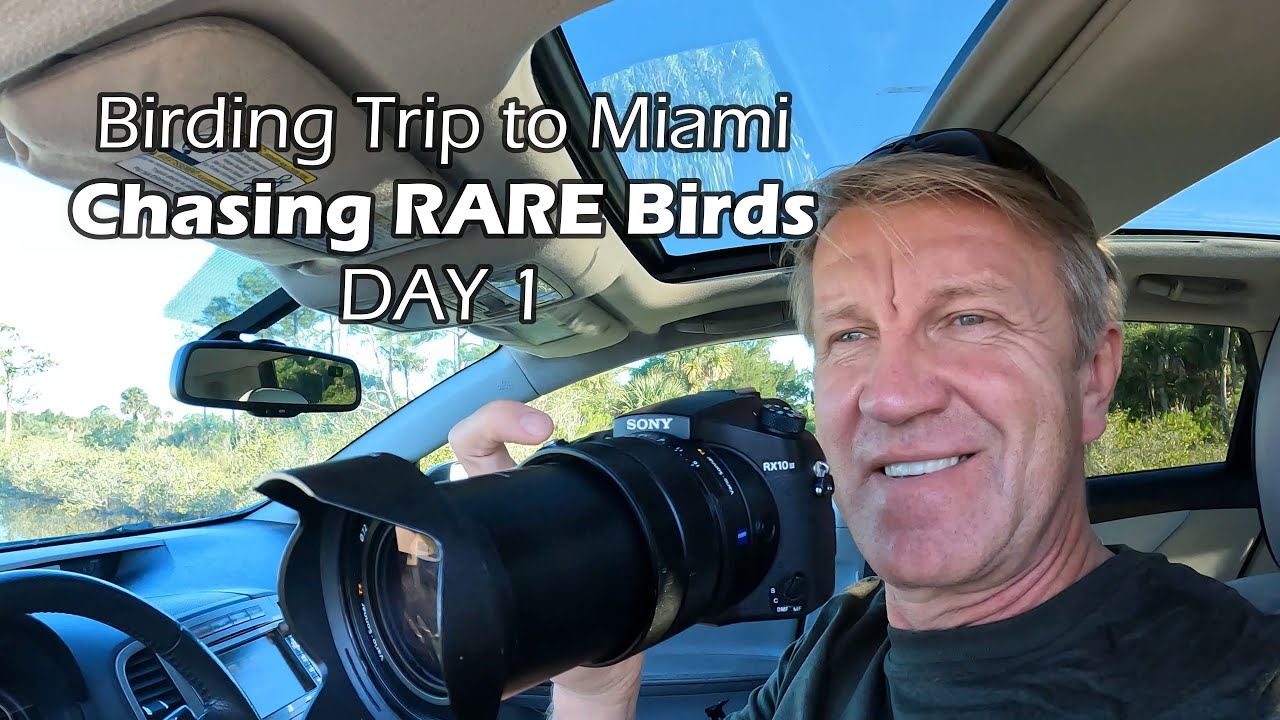 Chasing RARE Birds in South Florida Merrit Island to Miami - Day 1