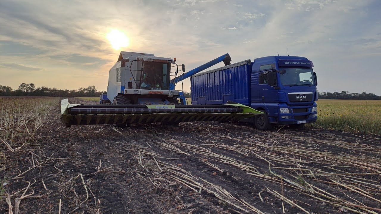 🇺🇦Дніпро-350. 🌻Збирання соняшнику Syngenta Alcantara.