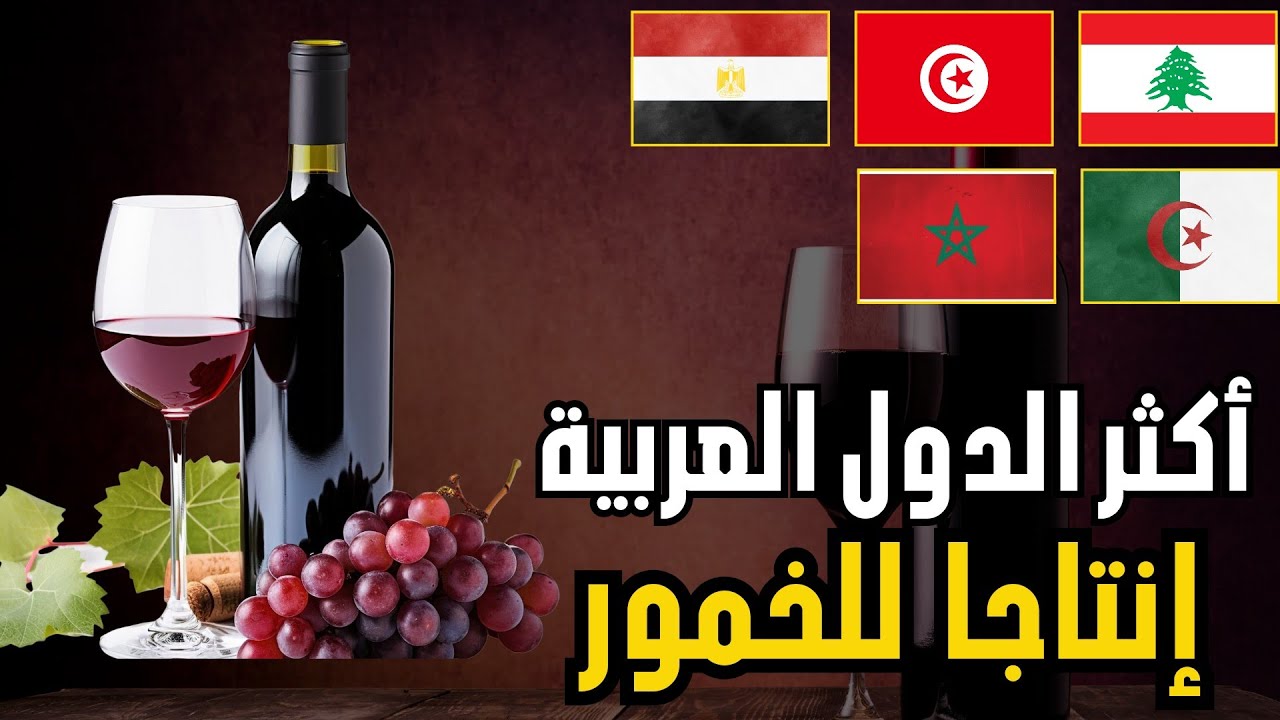 🍷أكثر الدول العربية انتاجا للخمور|ترتيب الدول العربية حسب إنتاج النبيذ ( منظمة الكروم و النبيذ 2026)