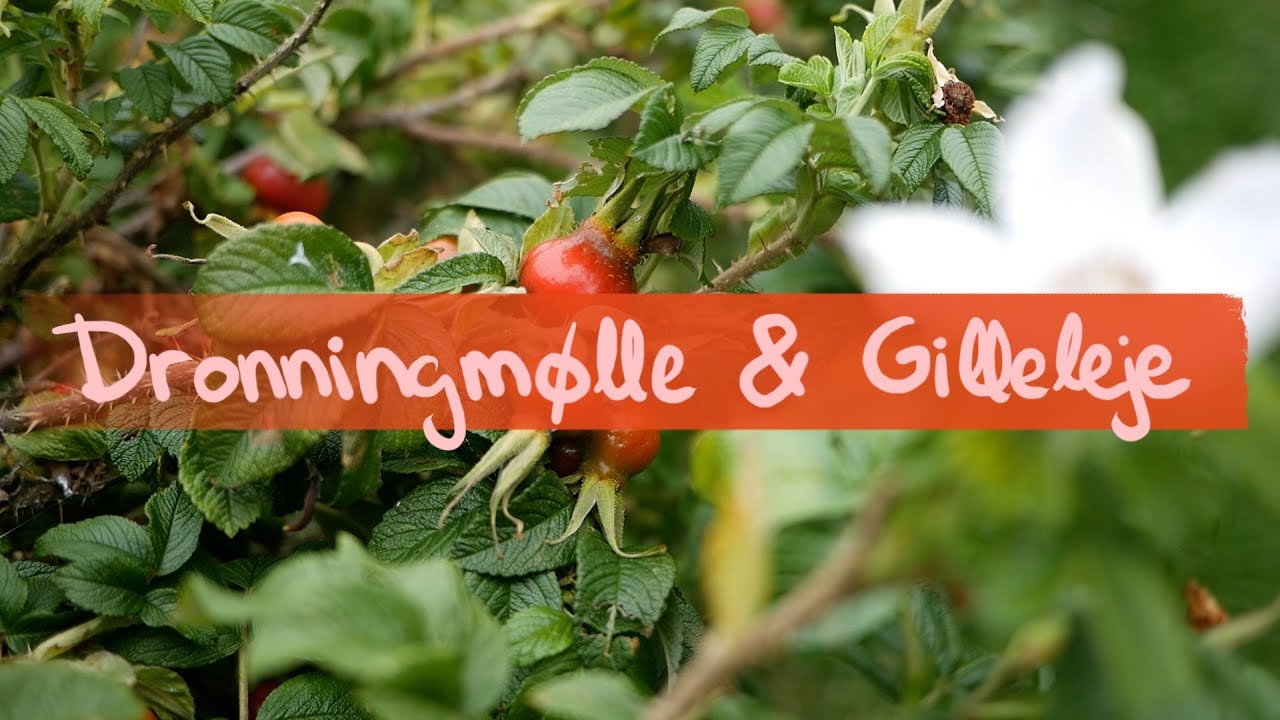 Dronningmølle & Gilleleje