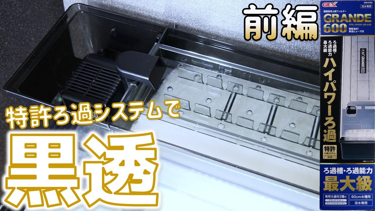 【上部式フィルター】透けているから中身が全部見えるろ過器。ろ過槽の深さが増しました。前編！GEXグランデ600【ふぶきテトラ】