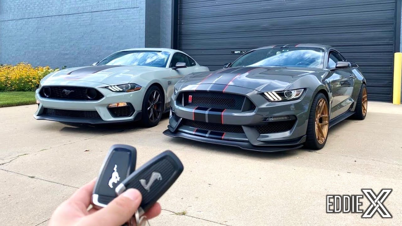Ford Mustang Mach 1 vs Shelby GT350R | Walkaround and Details Comparison!