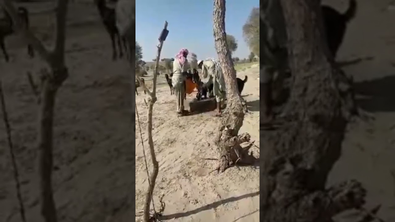 Taka (ٹاکا) Traditional water storage tank in THAR Sindh