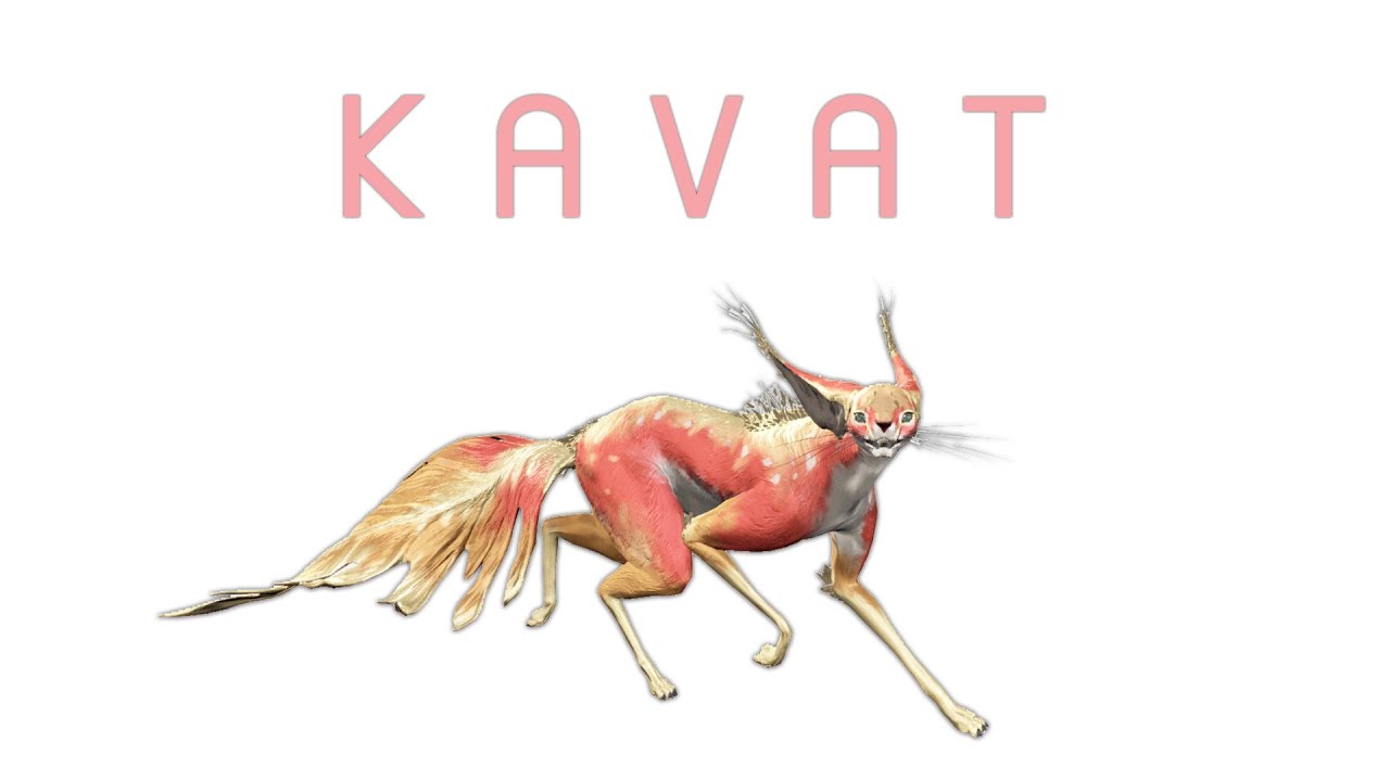 วิธีสร้างน้องแมว Kavat - Warframe