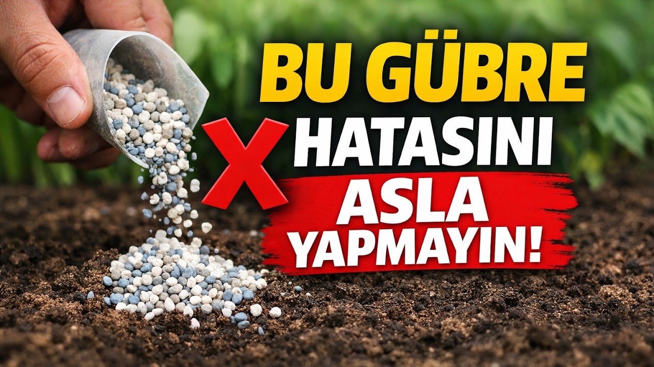 Usta Bahçıvanların Sırrı: Bu Gübreleme Hatalarını ASLA Yapmayın! (NPK Rehberi)