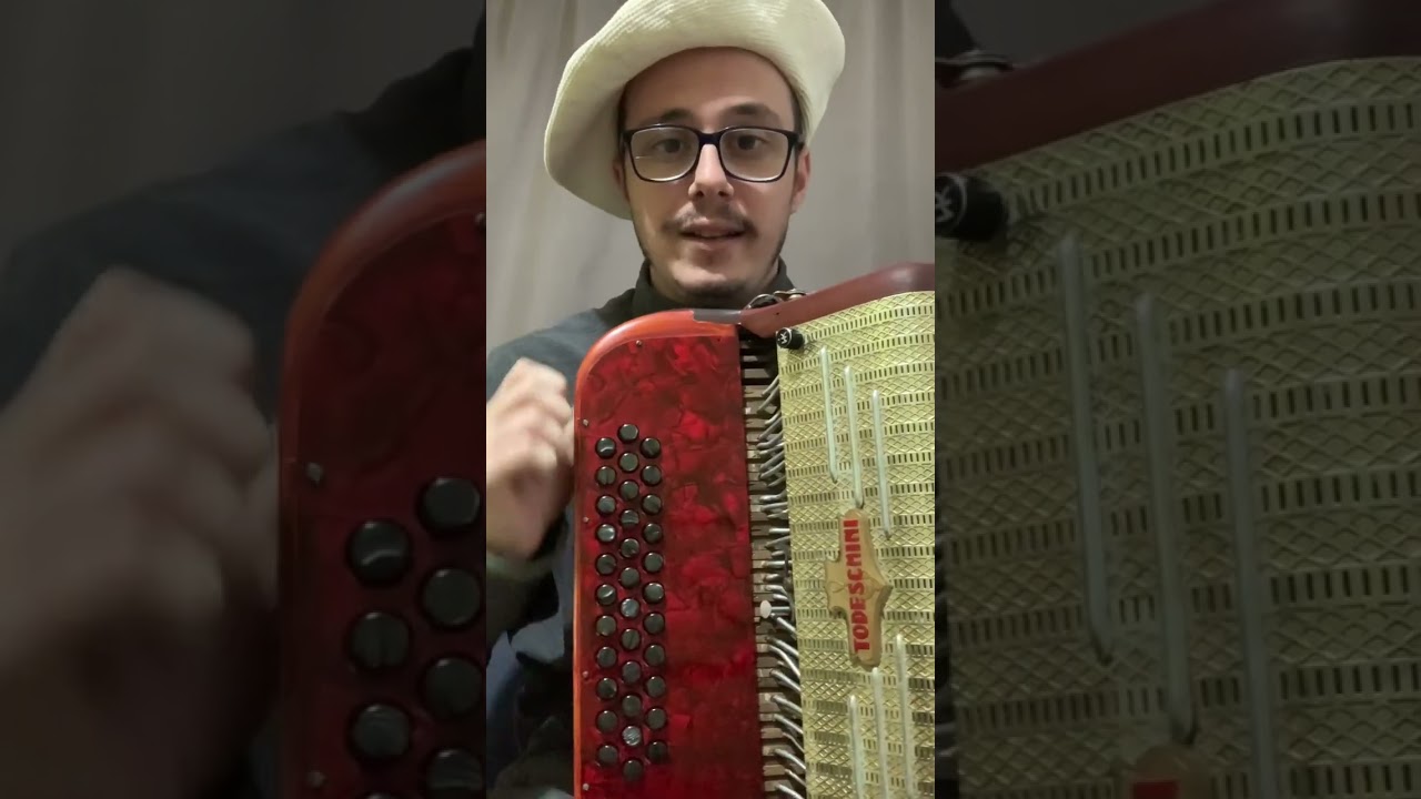 Gaita ponto é mais difícil pra aprender que a  gaita piano?