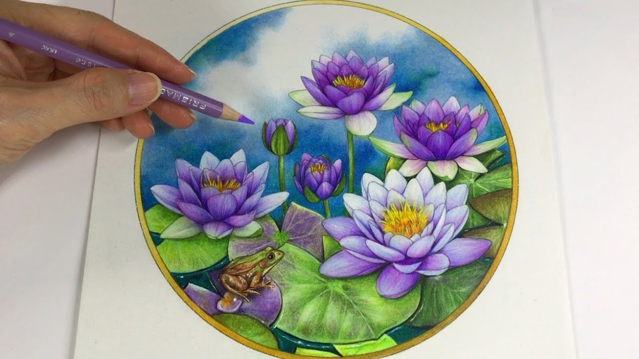 STEP BY STEP WATER LILIES COLORING BY CHRIS CHENG