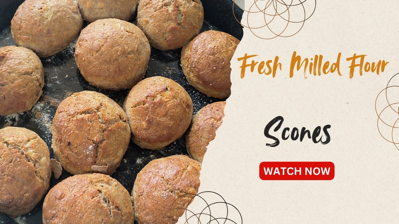 Сдобные булочки с сыром из свежемолотой муки! #fmf #scones #Ireland #freshmilledflour