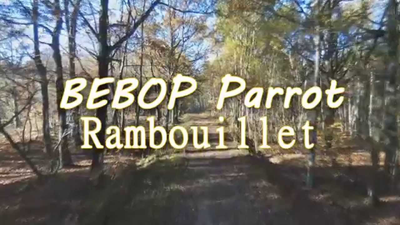 RAMBOUILLET (drone project)