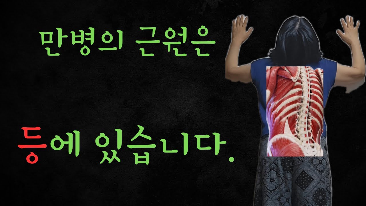 이 영상을 보는 순간 등을 펴세요. 척추 한번 펴면  내장기가 건강해집니다. 만병의 근원은 등에 있습니다.