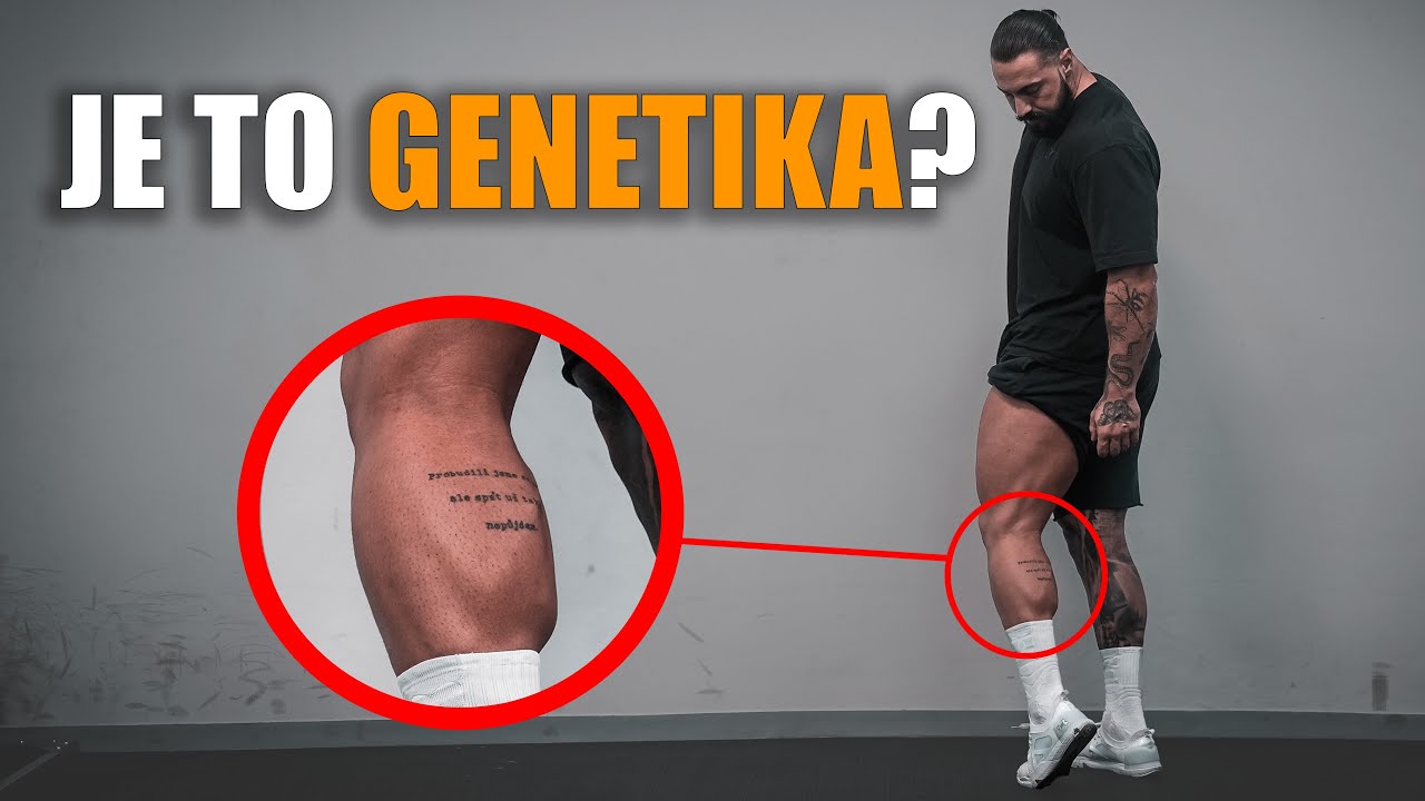 LÝTKA | Jsou opravdu o genetice?