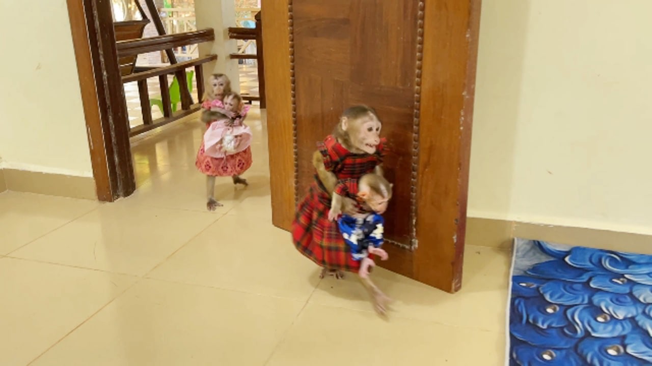 Chichi & Linda Bring Each Daughter Fast Going Back Home After Whole Day Outside