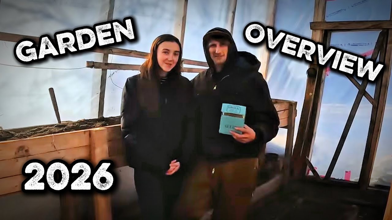 Начало строительства сада Хейли: 2026 год.