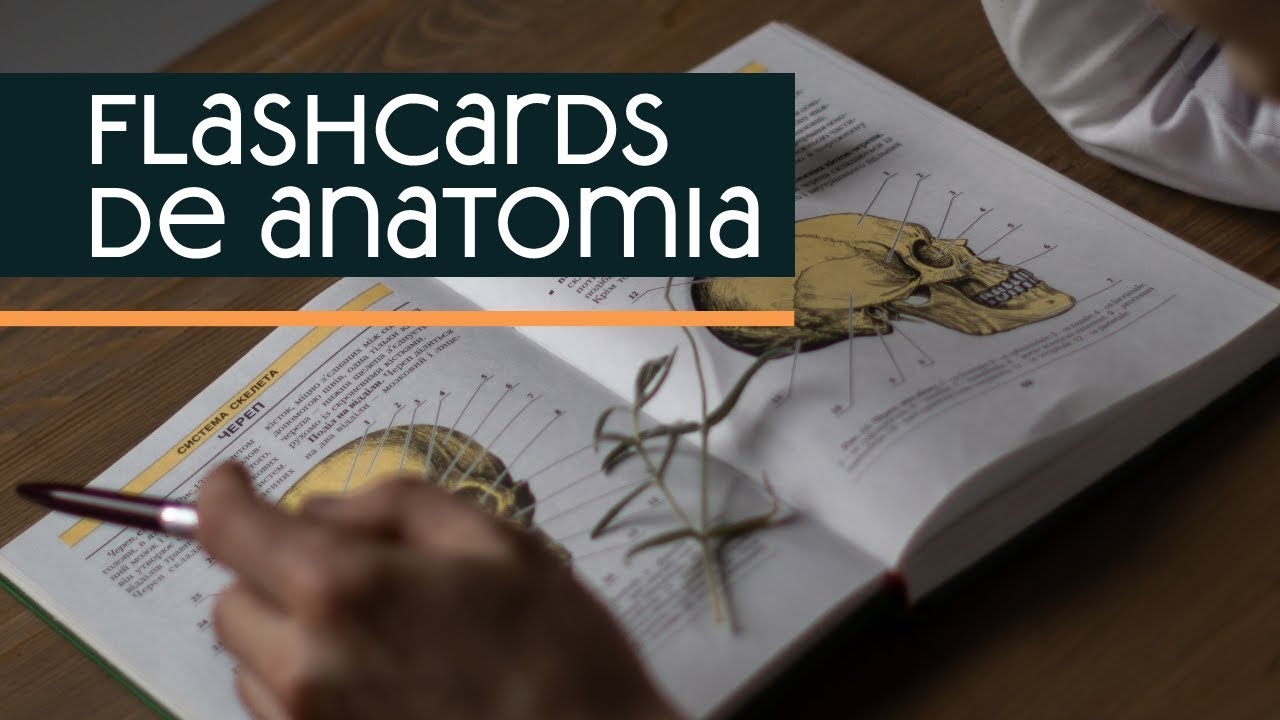 Como Aprender ANATOMIA MUITO Mais F&Aacute;CIL | ANKI FLASHCARDS