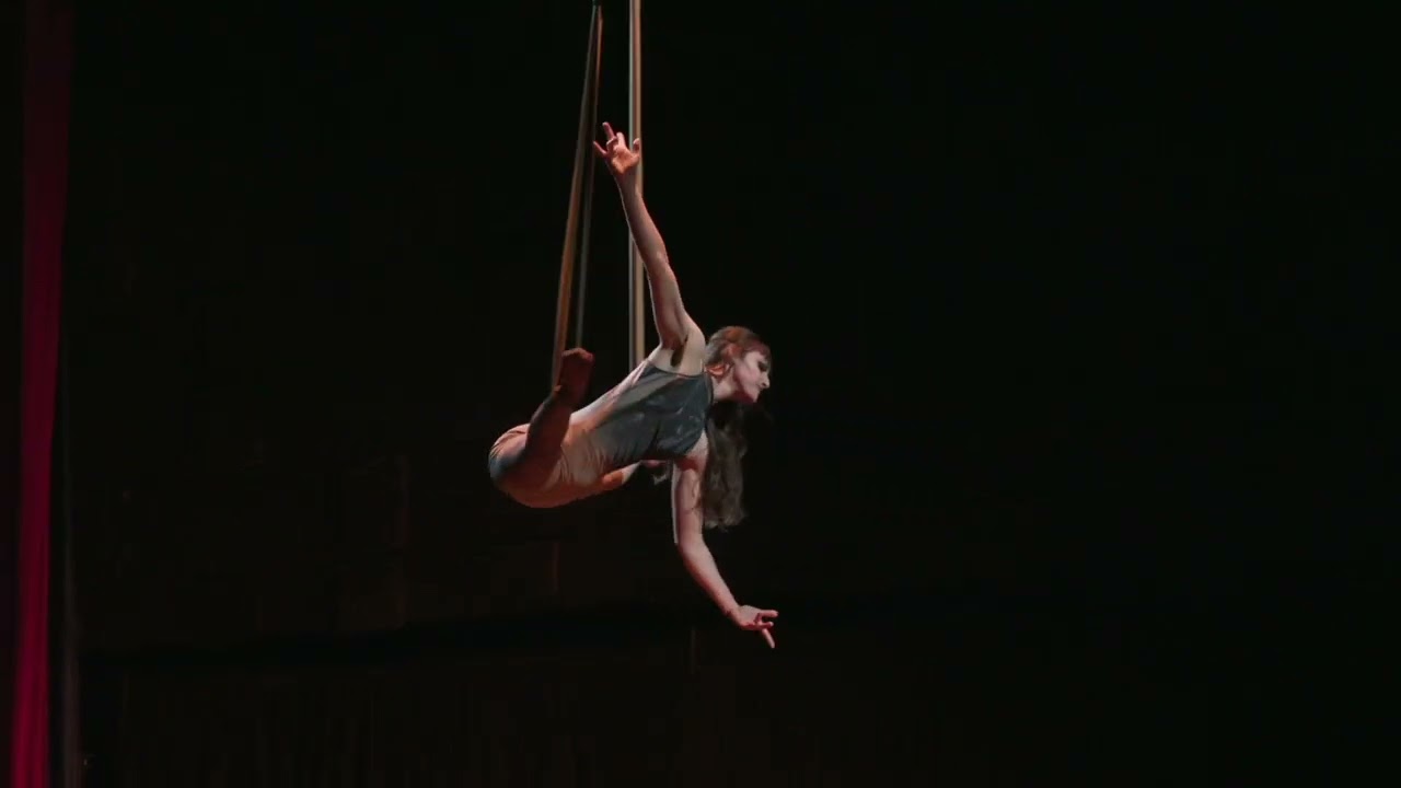 Elise Southwick- Aerial Strap Loops