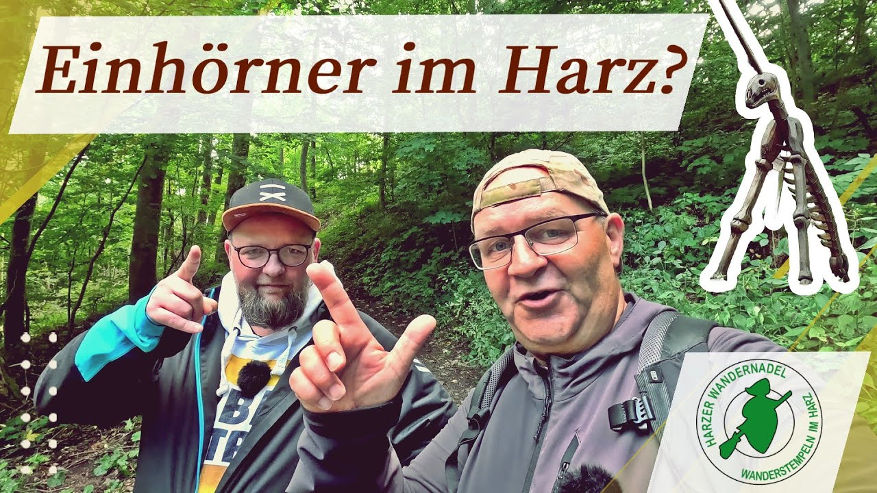 Stempel sammeln im Harz - Harzer Wandernadel 101 + 115 + 151