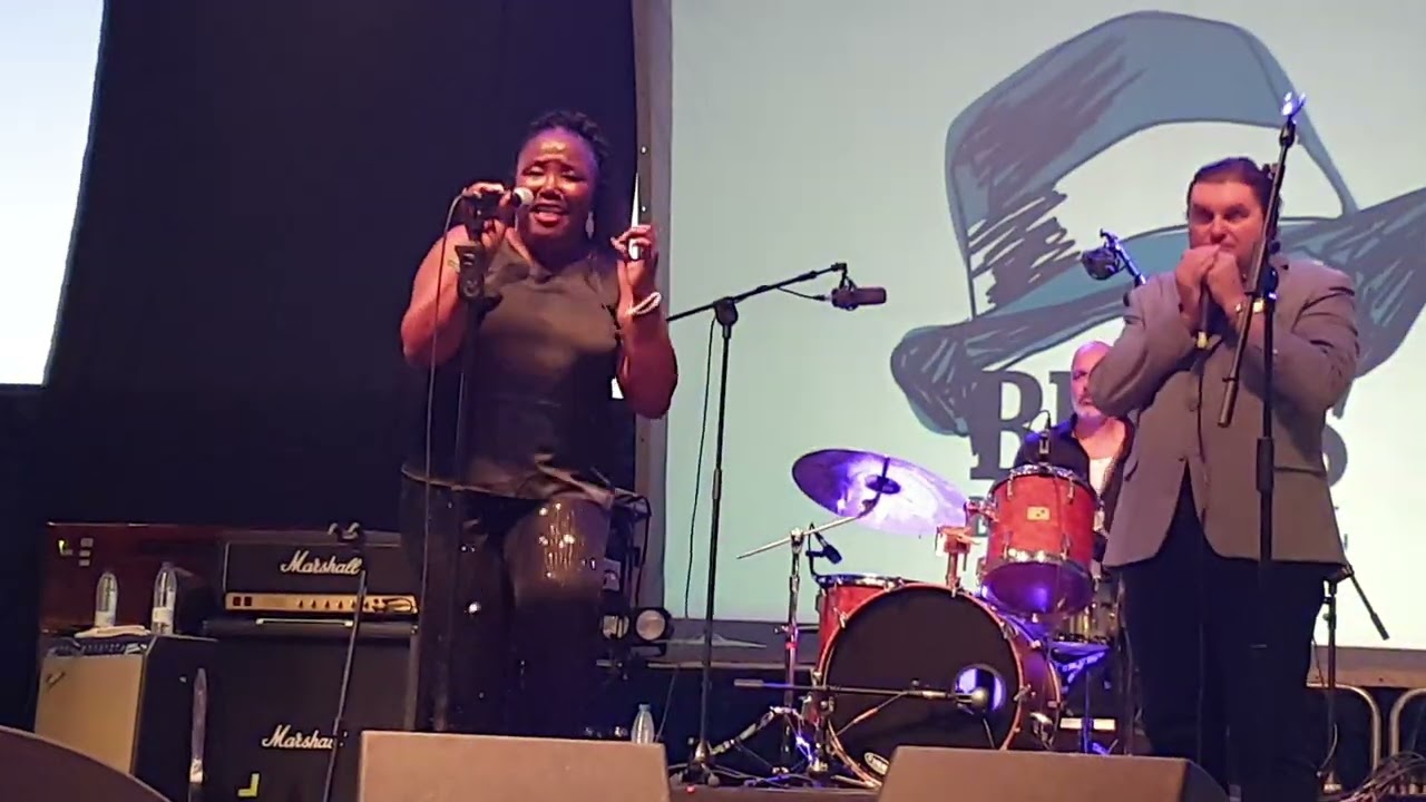 Robbin Kapsalis Blues Béjar Festival 2024