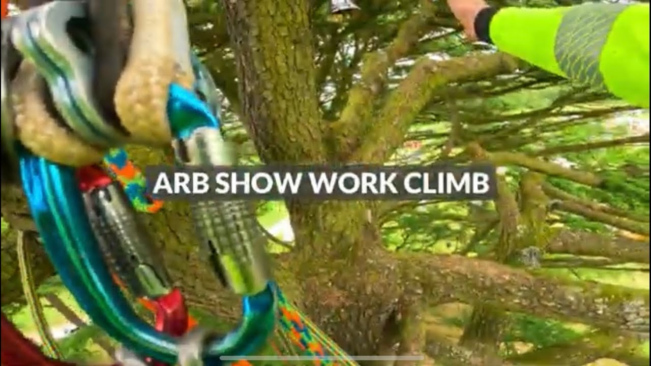 WORK CLIMB | ARB SHOW COMP 2024