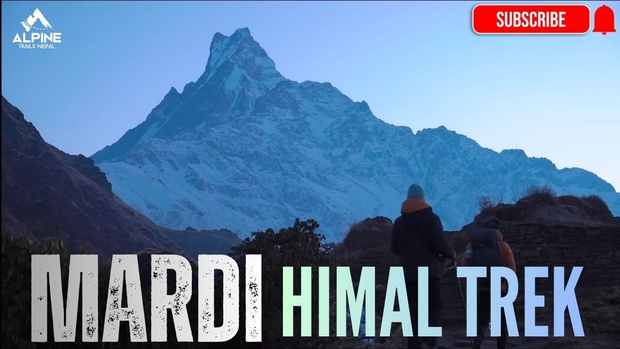 Mardi Himal Trek 4K | The Most Underrated Trek in Nepal #mardi #mardihimal #alpinetrailsnepal