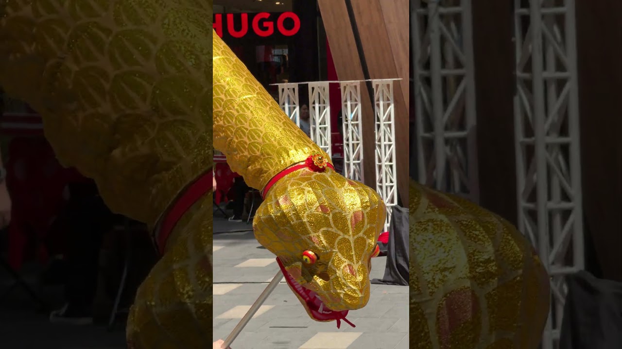 Snake - 2025 World Dragon & Lion Dance Extravaganza | Lalaport, Kuala Lumpur