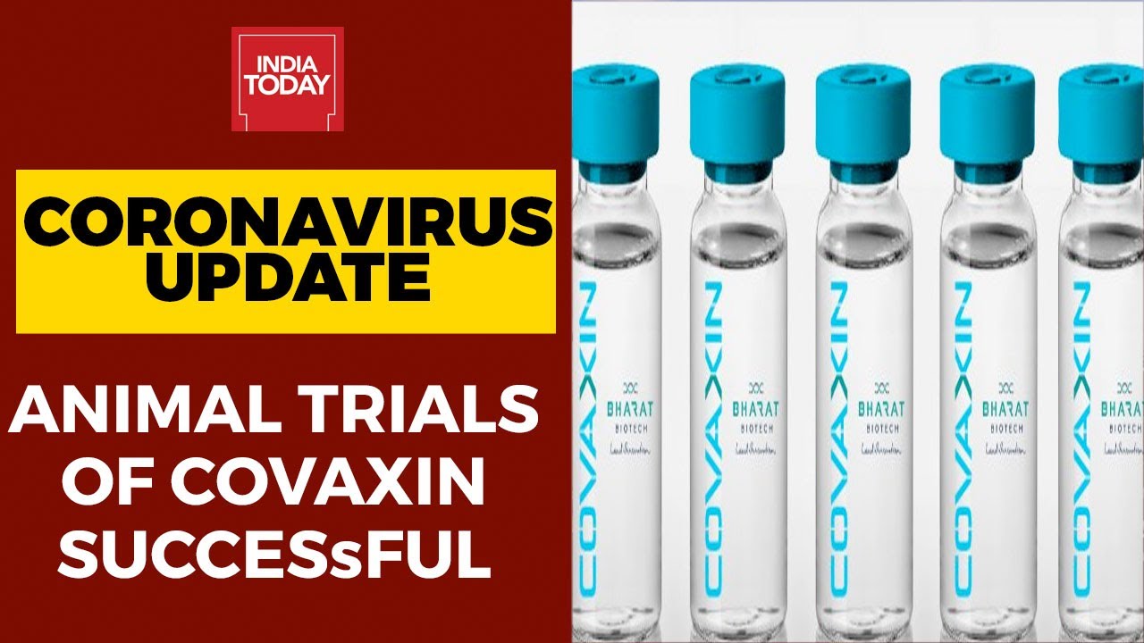 Coronavirus Update: Animal Trials Of Bharat Biotech COVID-19 vaccine Covaxin Successful