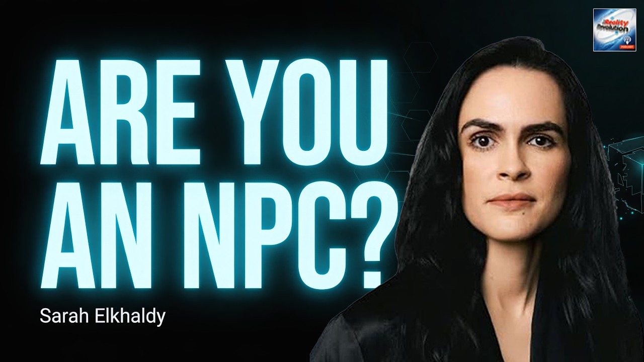 Are You An NPC? Sarah Elkhaldy