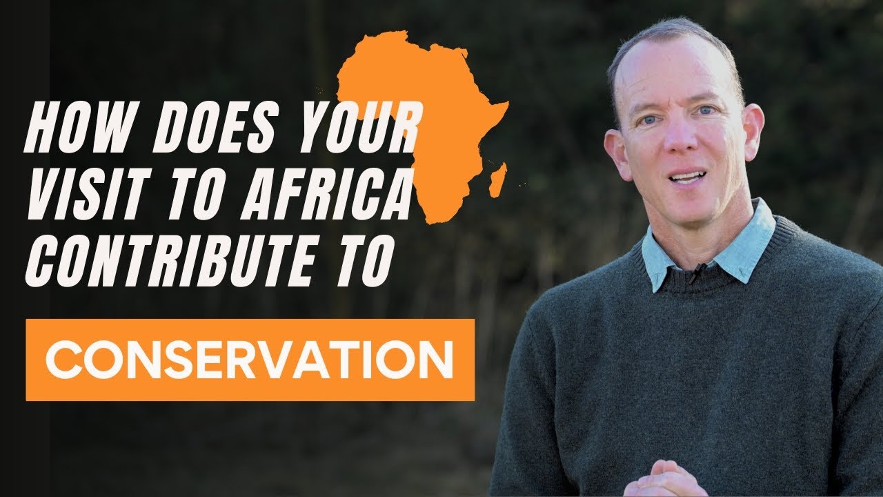 How Does Your Visit To Africa Contribute To Conservation