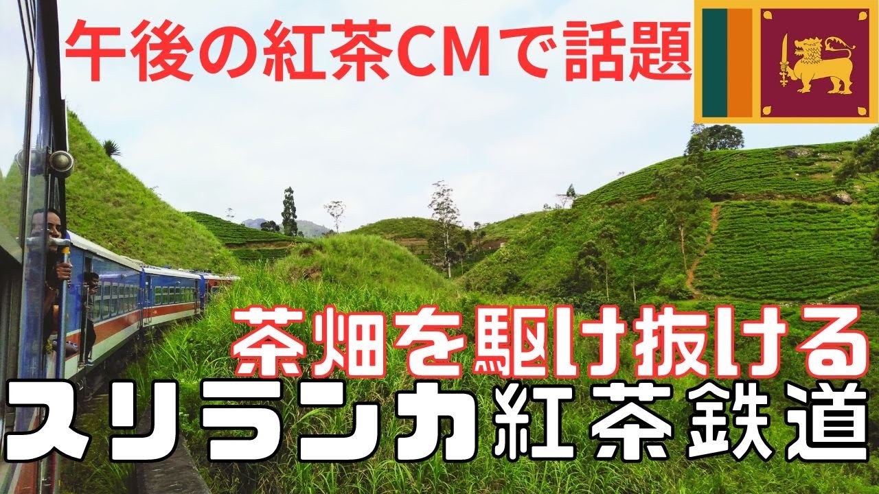 【スリランカ】紅茶鉄道！今CMで話題の♪