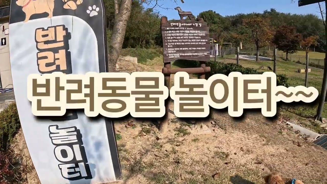 강아지 동물놀이터