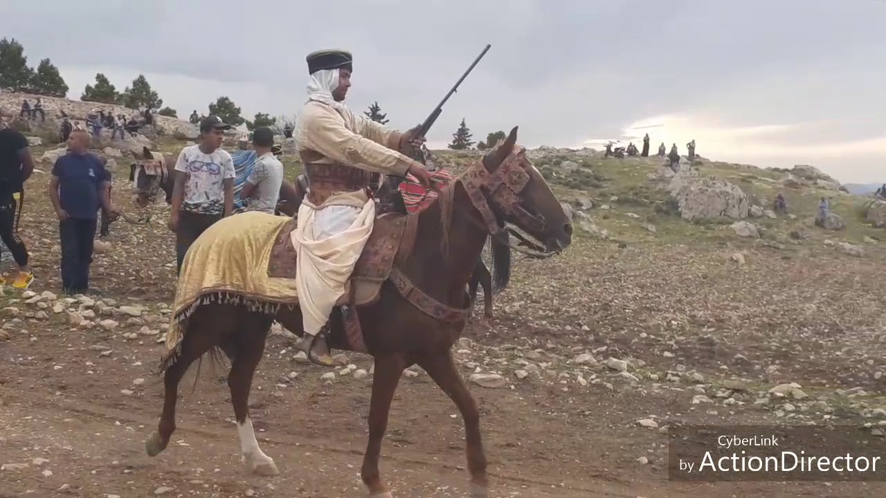 فرسان قلعة سنان kalaat sinen