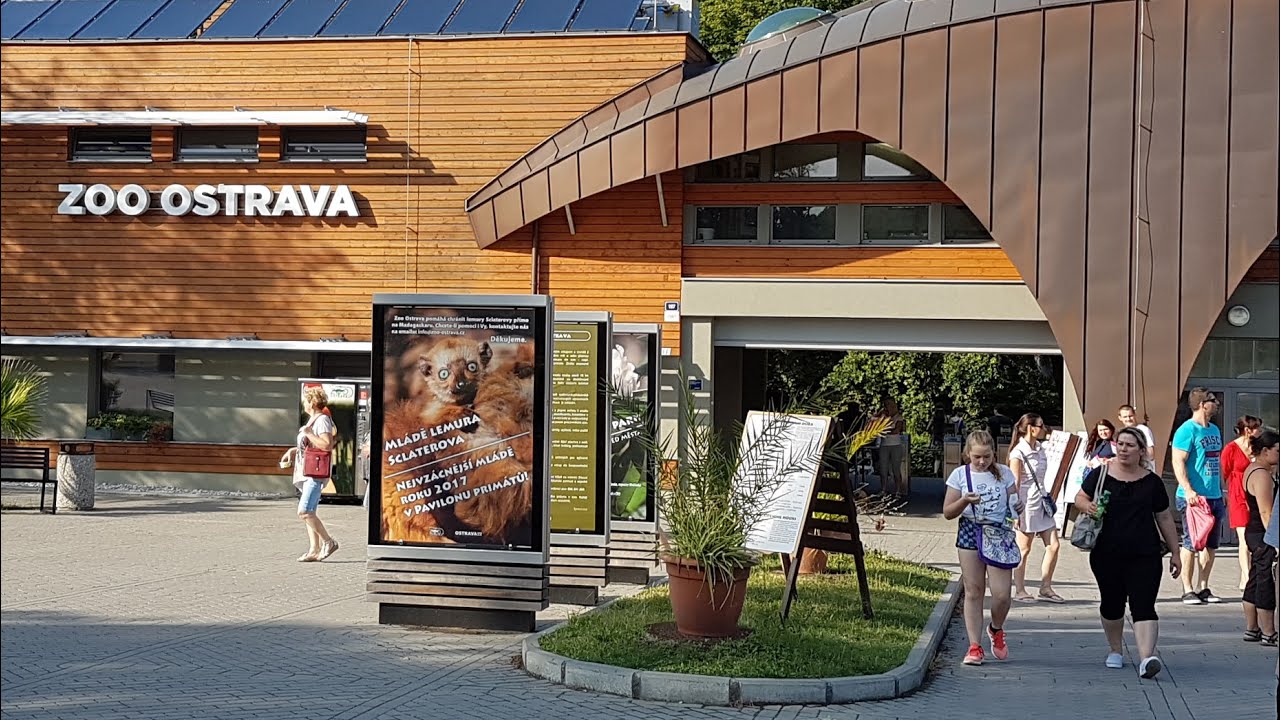 ZOO OSTRAVA - relacja z wizyty, recenzja | ForumWiedzy