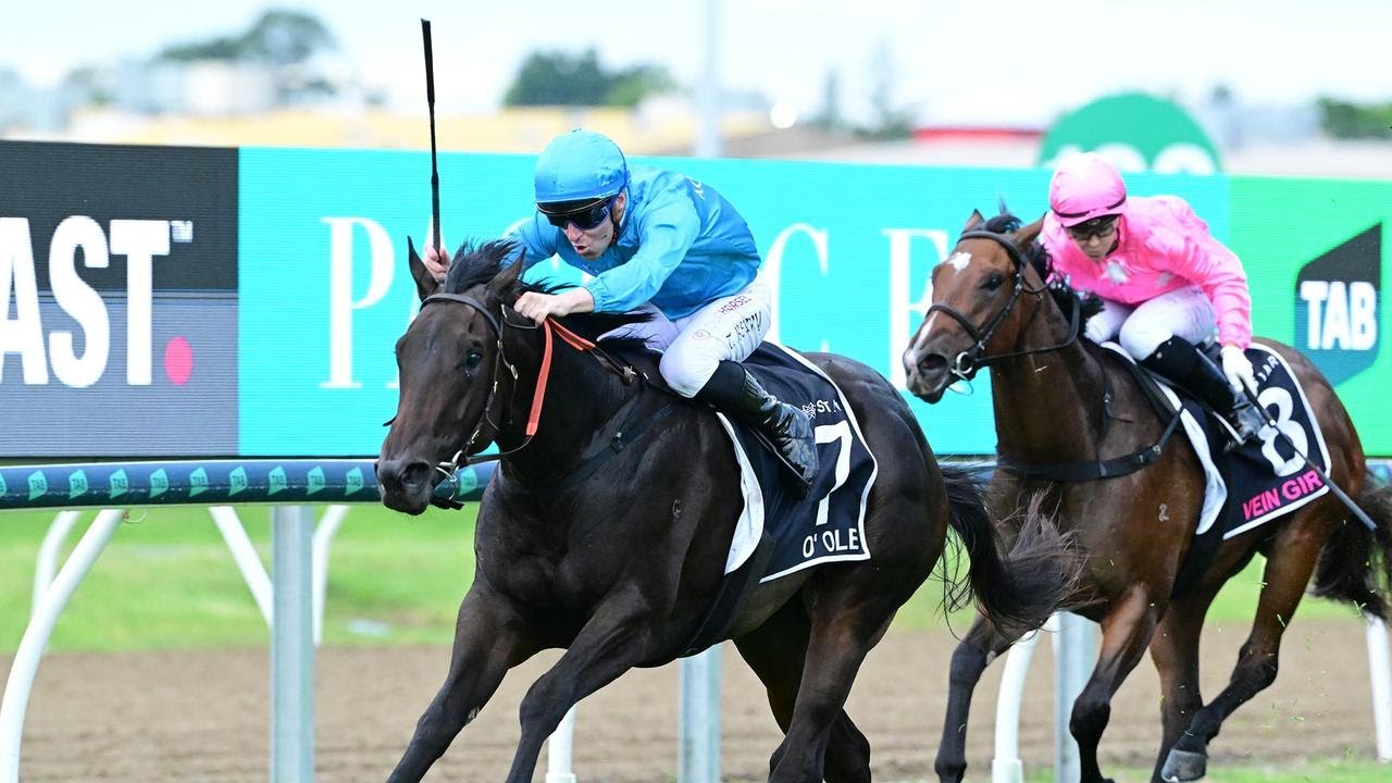 Прямая трансляция скачек Magic Millions в день соревнований 2026 года.