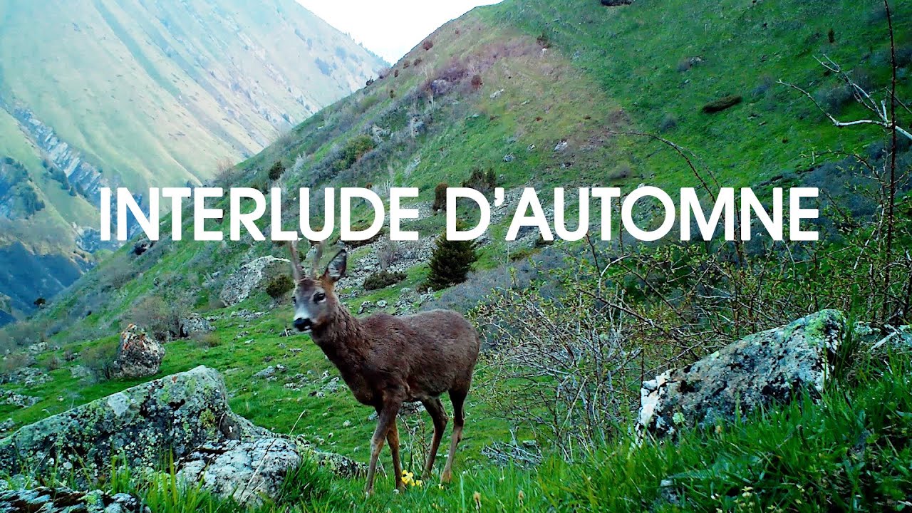 Interlude d'automne - Territoire de la Maurienne