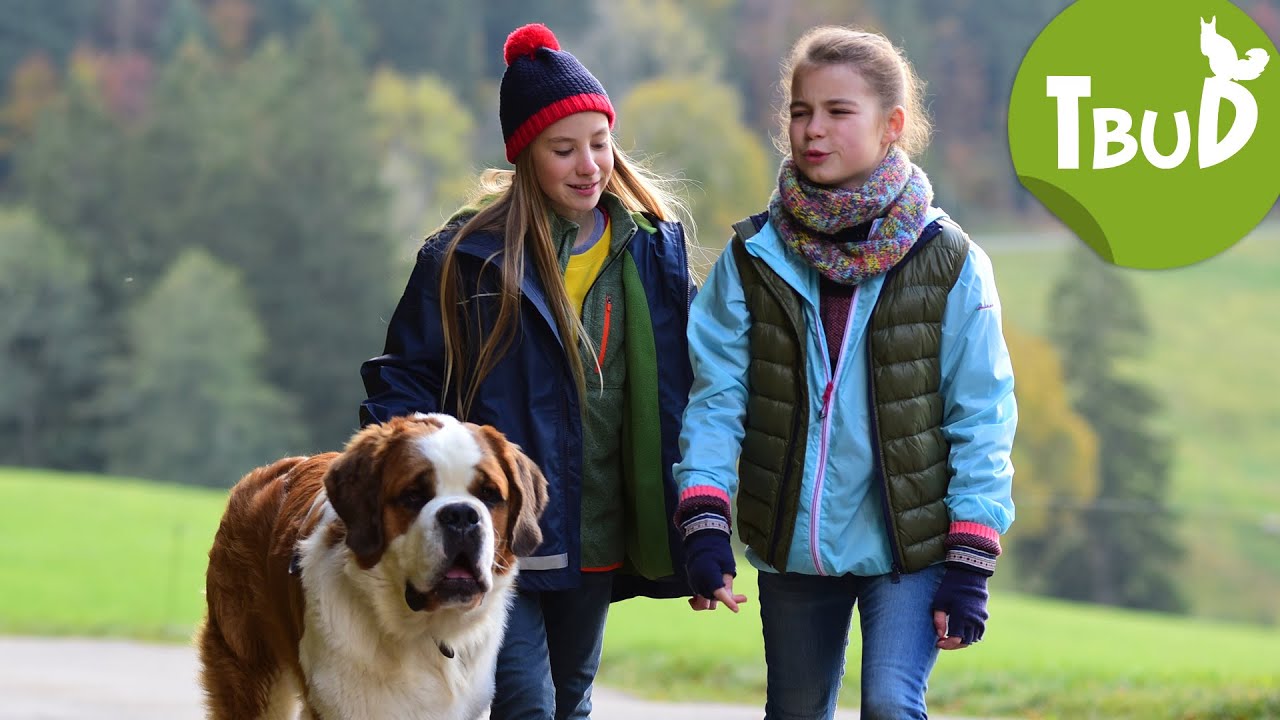 Falscher Hase (Folge 69) | Tiere bis unters Dach