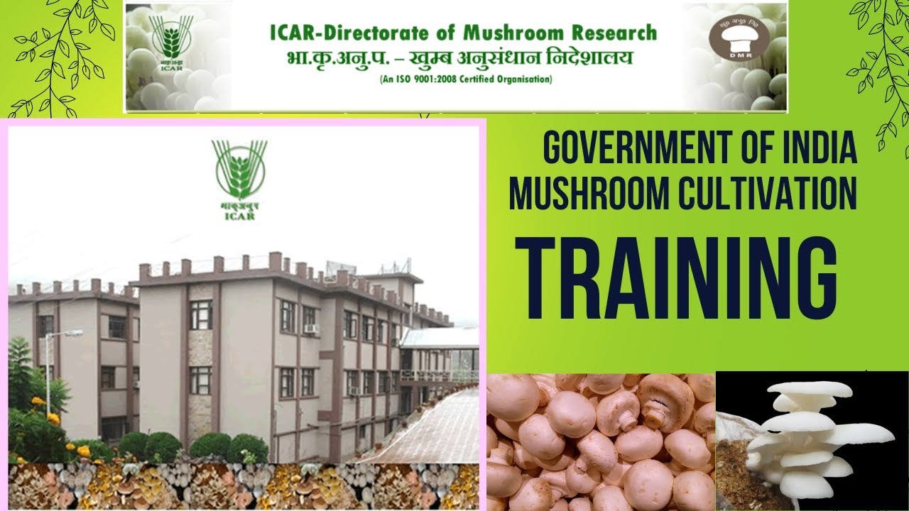 Government Training on Mushroom Cultivation Technology-2024/ ICAR-Directorate of Mushroom Research