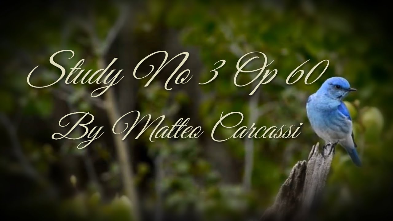 Study 3 Op 60 Matteo Carcassi Arr Gerald Kidd