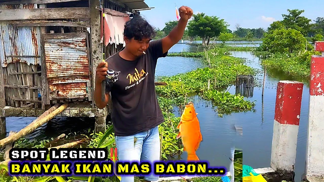PASTI VIRAL‼️MUSIM BANJIR SELALU JADI TITIK SPOT MANCING ANDALAN #mancing #fisherman