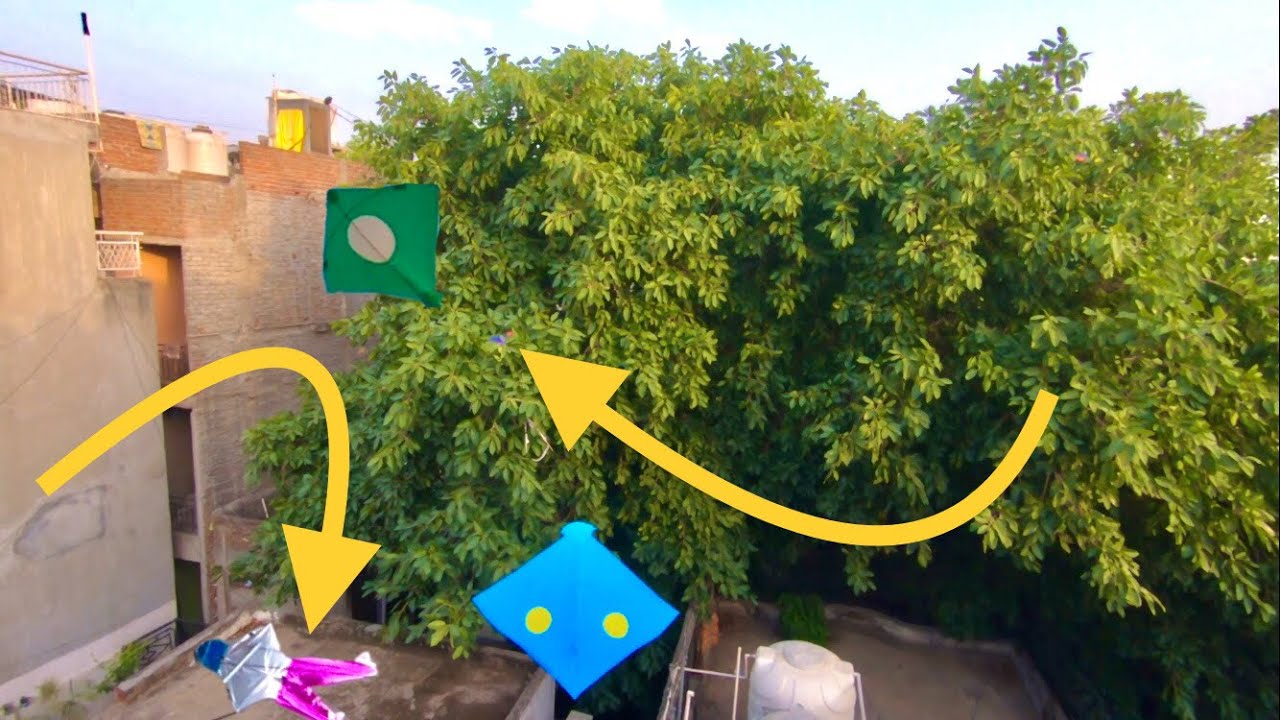 Caught Kite From Rooftop Man kite