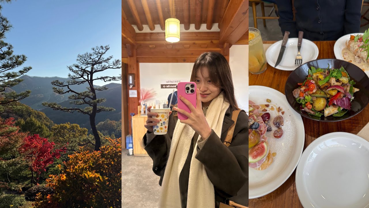 [Vlog] 10월엔 뭐하구 지냈게 🍂🍠👀 | 자취 일상, 먹방, 추석, 부산, 브런치카페 소보, 해도초밥, 어슬도곡, 화담숲, 베통 소금빵