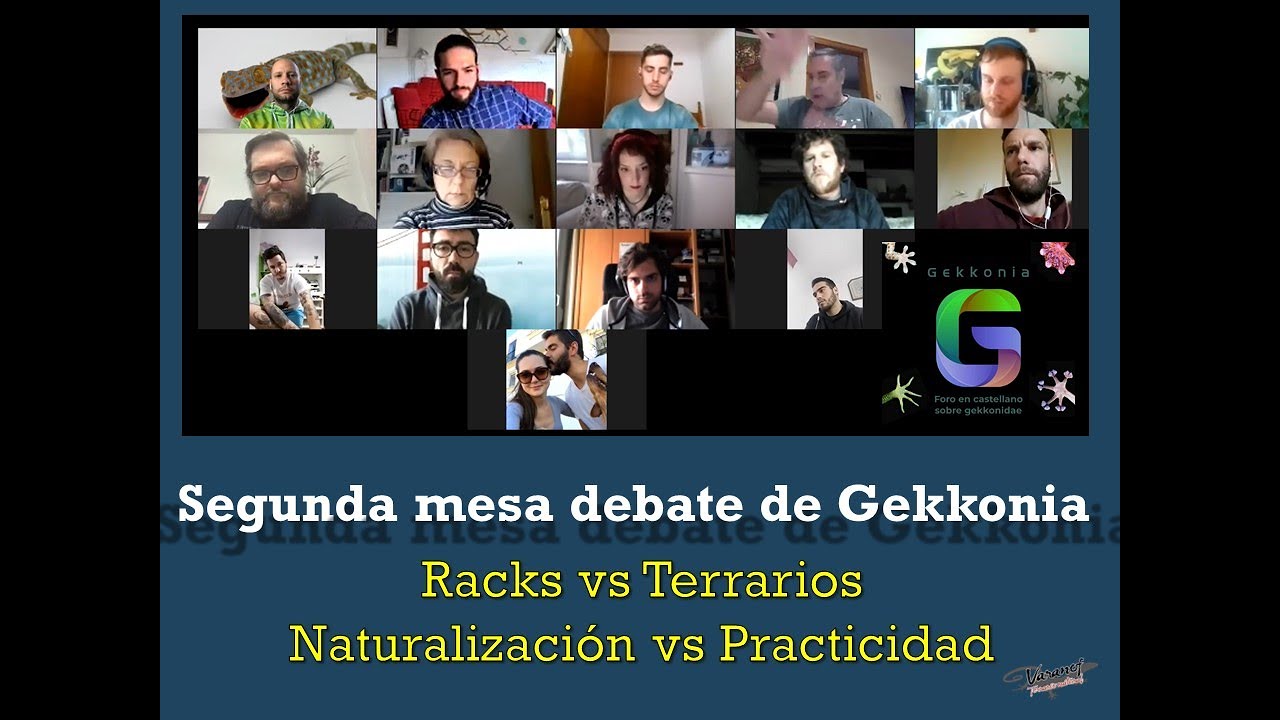Segunda mesa de debate GEKKONIA 21 febrero