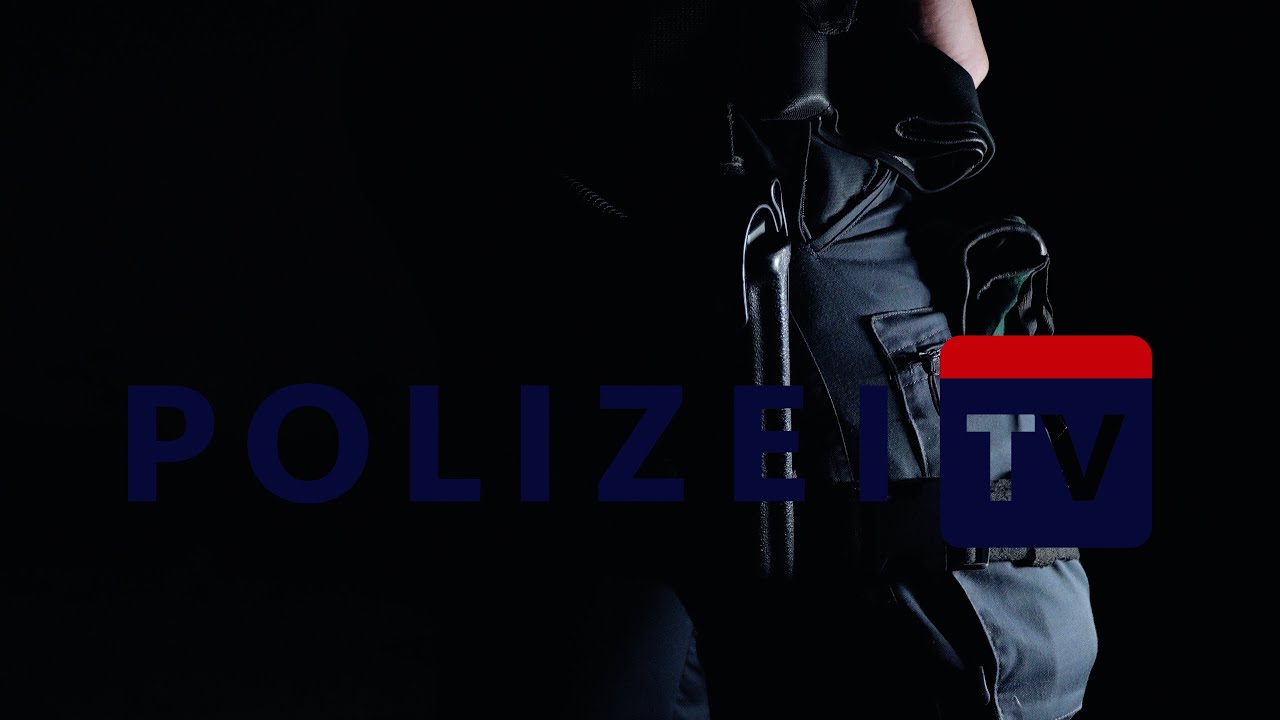 Polizeihunde im Nachteinsatz | Diensthundeeinheit Wien 