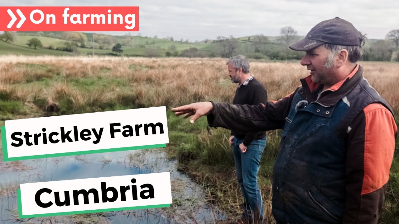 Dairy farm beck re-naturalisation project - James Robinson, Strickley Farm, Cumbria