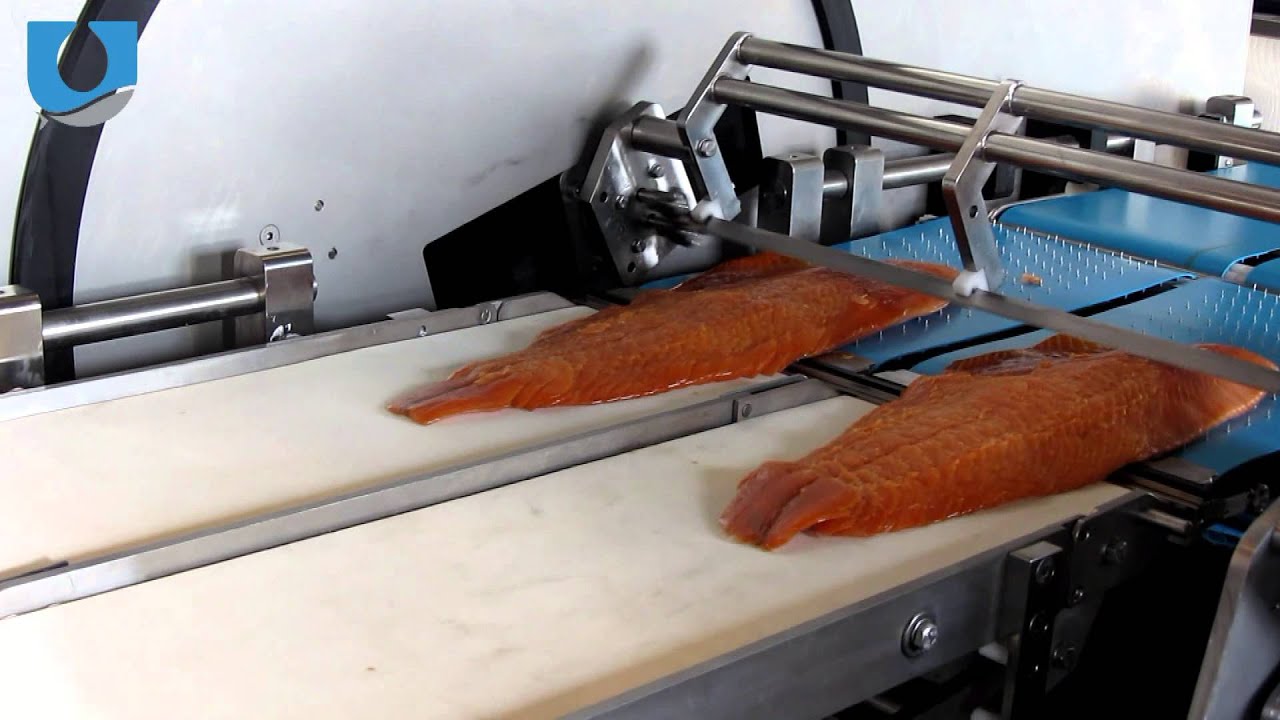 Uni-Food Technic Fresh Slicer  300 for Salmon