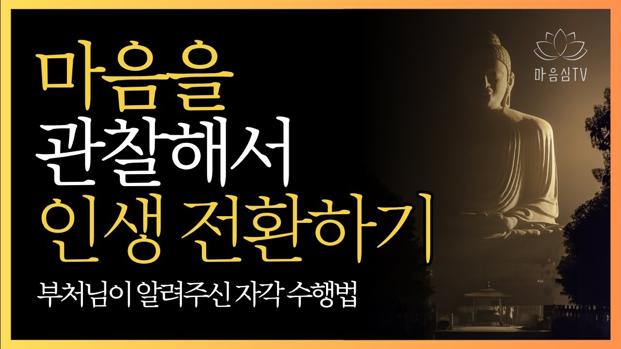 왜 마음 관찰이 중요한가? 힐링과 자기성찰의 비밀