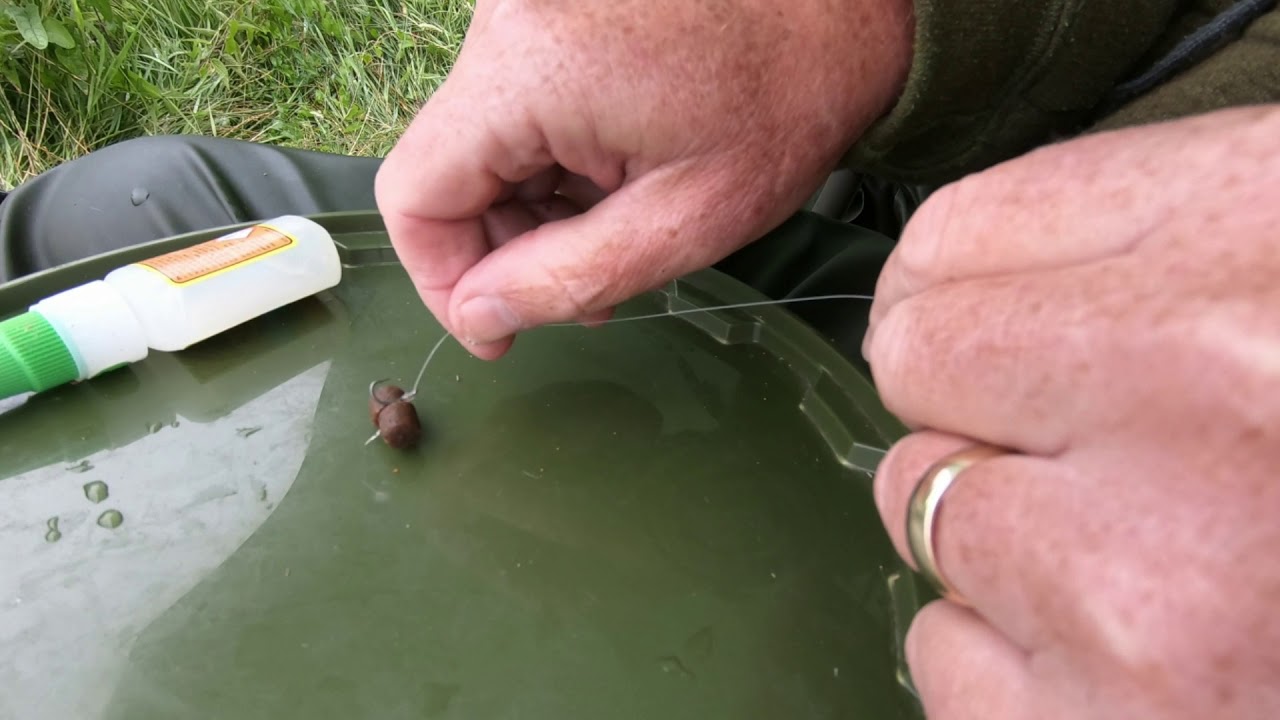 Big Hampshire Avon chub